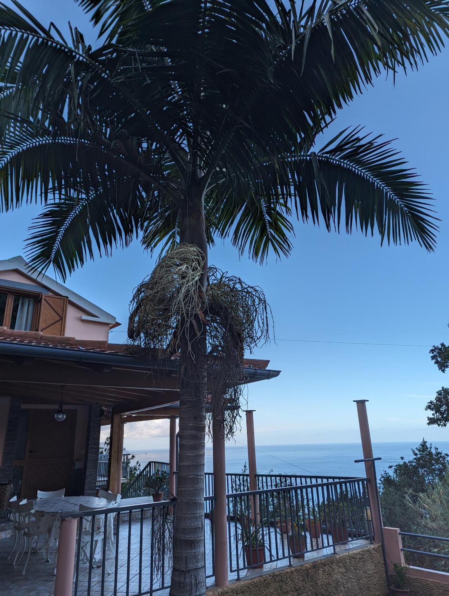 Fantatic Holiday House 蓬塔德尔加达 外观 照片